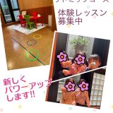 新規生徒さんの募集について:リトミックコース