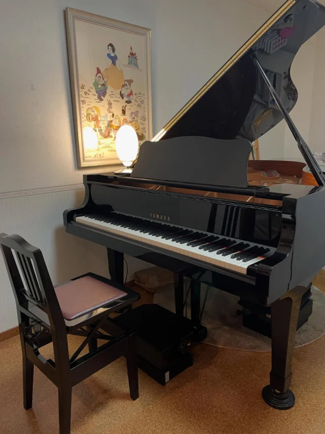 2025年のレッスンを無事に終了致しました。

一年を通して暑い日が多く、レッスンへの送迎をして下さった保護者の皆様には、ご協力いただけたこと感謝しております。
ありがとうございました。

私自身としましては、今年の発表会で、皆様のお陰で夢を叶えることが出来、満足な一年でした☺️
お陰様で、リトミック教室も小堀先生にお手伝い頂きながら軌道に乗りはじめました🎶

来年の目標❣️
「ピアノ教室」「リトミック教室」という以外に、通って下さっている生徒さん達が「心が落ち着ける場所」「心の拠り所になれる場所」を作りながら、レッスンを進めていくこと

以上です☺️
たくさんのお子様と触れ合えたこと、「先生！大好き！」「ピアノだけはやめたくない！」等、たくさん好きを頂いて、最高の一年でした😆
本当にありがとうございました。

皆様、どうぞ良いとお年をお迎えください。